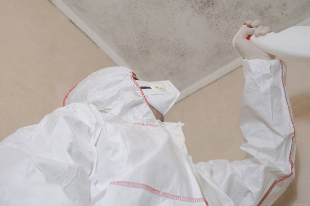 Certified Mold Removal in Newbern, TN